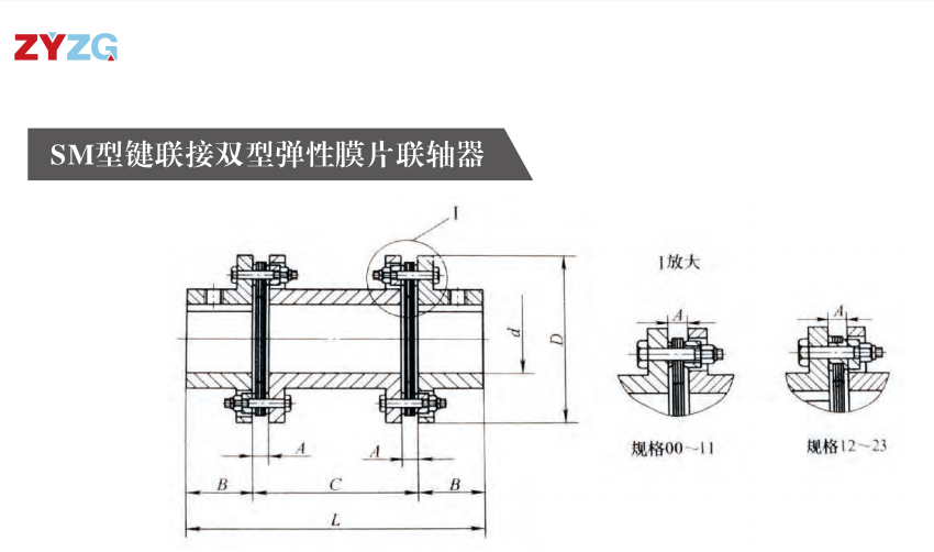 SM型鍵連接雙型彈性膜片大香蕉在线播放